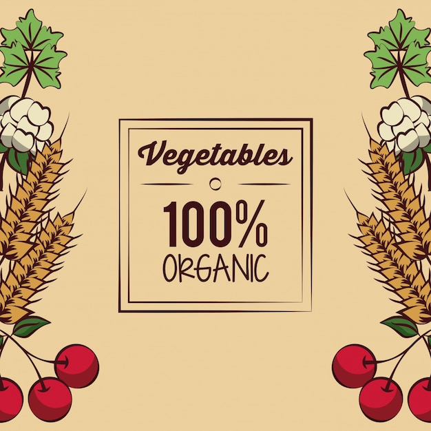 Organic vegetables icon