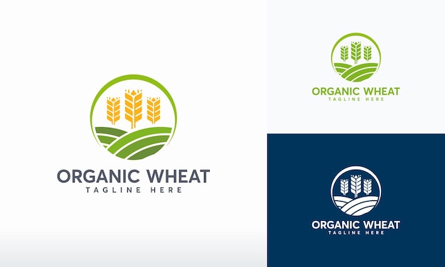 Органический логотип пшеницы разрабатывает концептуальный вектор Современный символ зерна пшеницы Символ логотипа сельского хозяйства