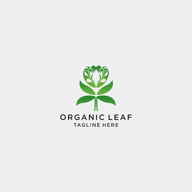 Organice blad logo pictogram vector afbeelding