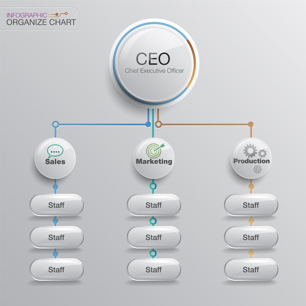 Vector organigram