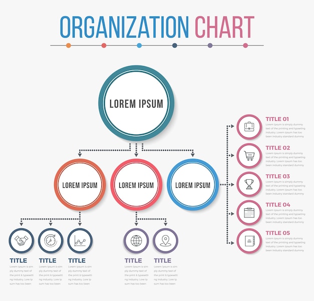 Organigramma