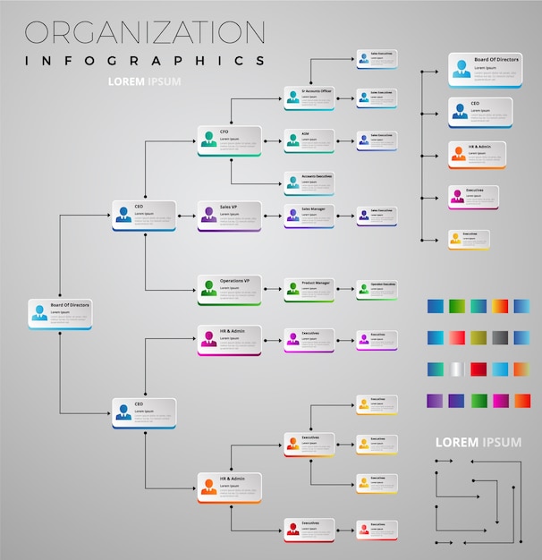 Vettore raccolta infografica di organizzazione