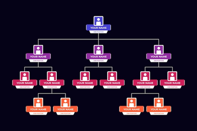 Проектирование организационной схемы для компании