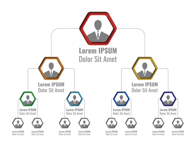 Vector organizational structure of the company business hierarchy with hexagonal infographic elements