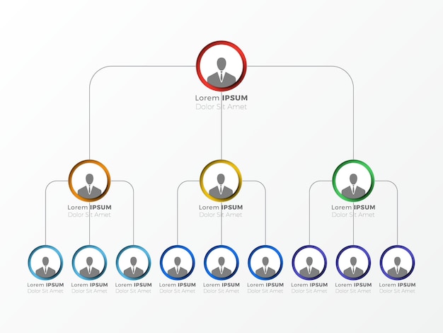 Organizational structure of the company business hierarchy with round infographic elements