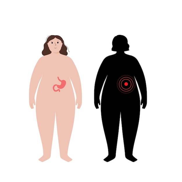 Organi nel corpo umano obeso