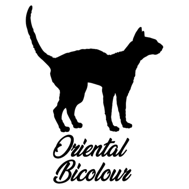 Vector oriental bicolour cat silhouette breeds cat logo monogram vector