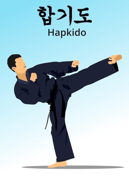 Oriental combat sports Hapkido Colored 3d vector illustration