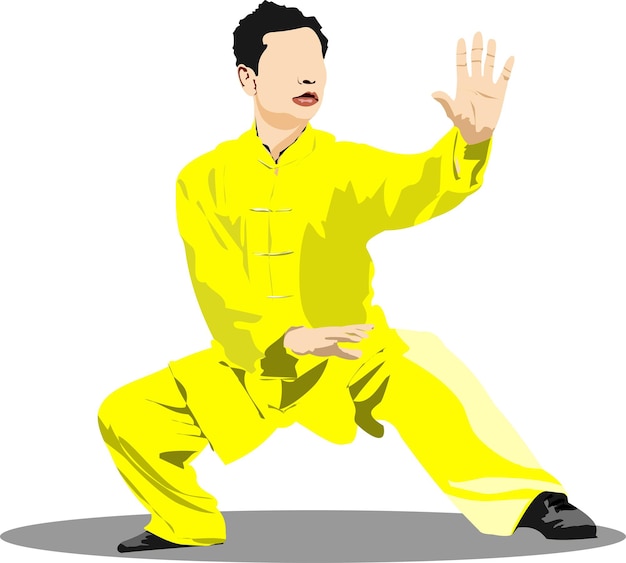 Oriental combat sports Wu Shu Colored 3d vector illustration