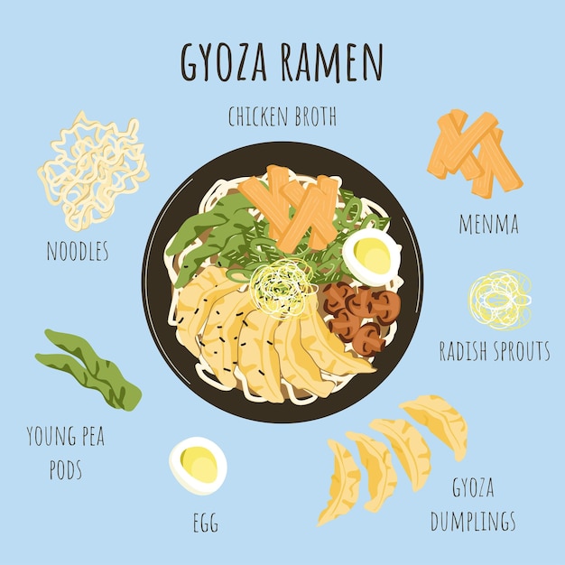 Oriental food. Asian gyoza ramen soup ingredients. Chicken broth with noodles, gyoza dumplings