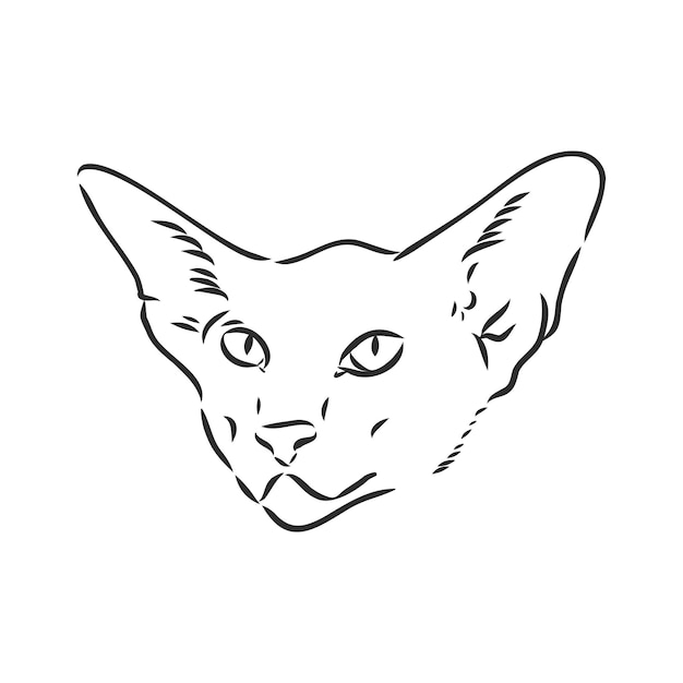 Gatto a pelo corto orientale stampa in stile disegnato a mano illustrazione vettoriale gatto orientale v