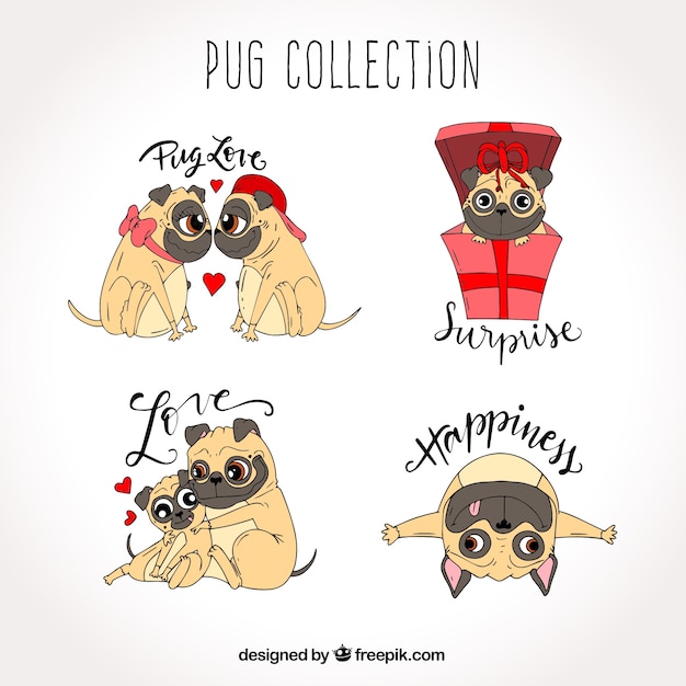 Vector original pack of lovely pugs