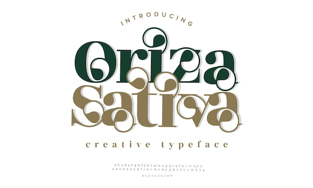 Oriza sativa lusso elegante alfabeto lettere e numeri elegante tipografia matrimonio classico serif