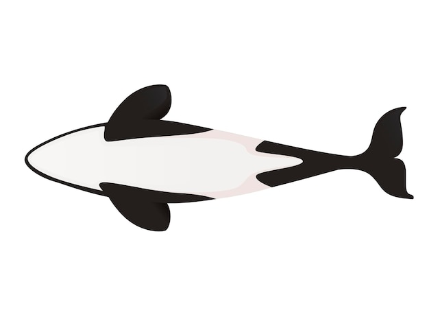 Orka (Orcinus orca) cartoon dier ontwerp Oceaan zoogdier orca platte vectorillustratie geïsoleerd op een witte achtergrond.