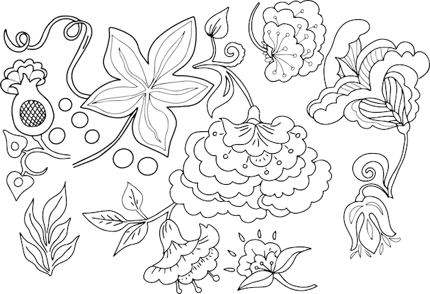 Ornament plant flowers leaves folk traditional hand drawn sketch doodle coloring book