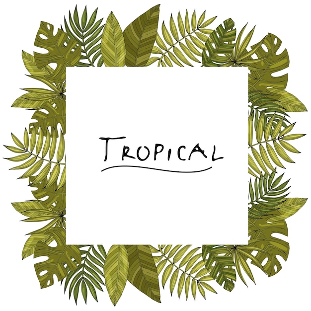 Ornament square frame border hand drawn tropical or forest leaves with many shades of green