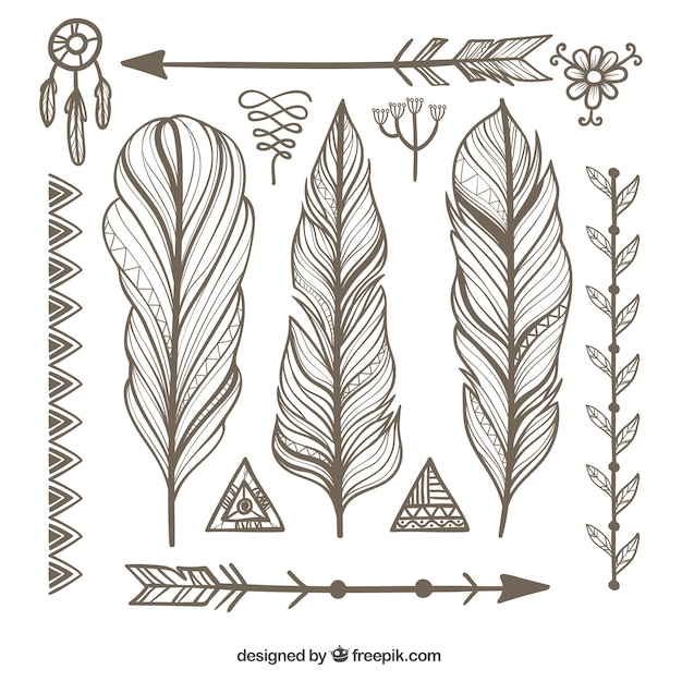 Vector ornamental feathers with other ethnic objects