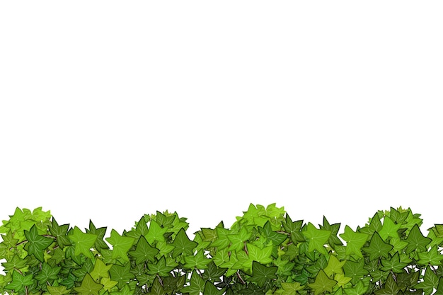 Ornamental green plant in the form of a hedgeRealistic garden shrub seasonal bush boxwood tree crown bush foliageFor decorate of a park a garden or a green fence