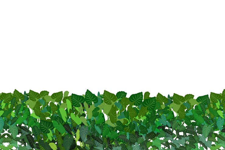 Vector 飾用綠色植物以圍的形式 實際的花園灌木季節性灌木 松樹樹冠 灌木葉 用于裝飾公園,花園或綠色