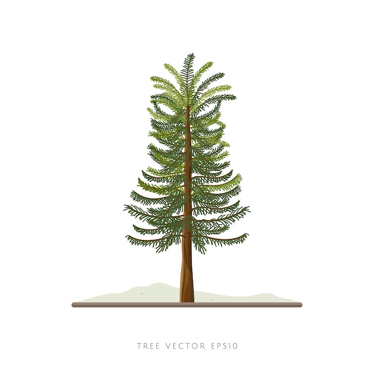 Vector ornamental pine tree illustration vector landscape decoration element