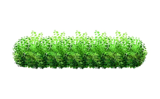 生け垣の形をした観葉植物。リアルな庭の低木、季節の茂み、ツゲ、木。