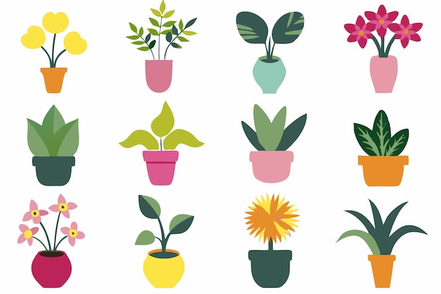ornamental plants flat illustration on white background