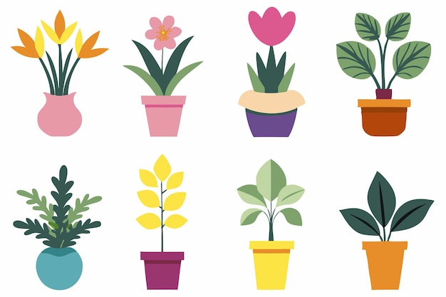 ornamental plants flat illustration on white background