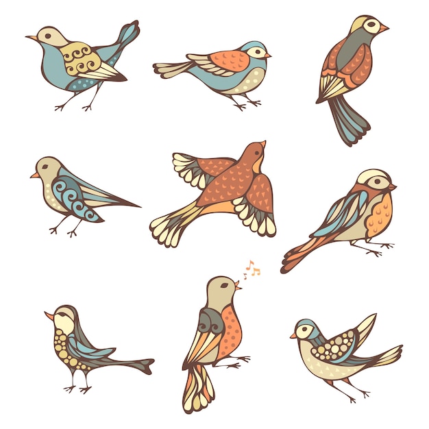 ornate birds isolated.