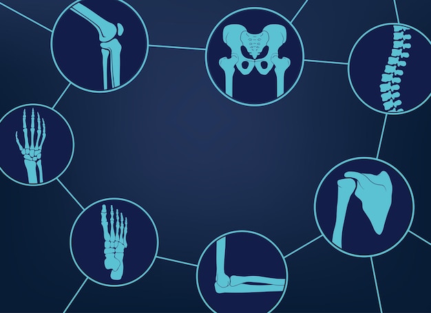 Vector orthopedic and skeleton symbols. human joints and bones set. vector