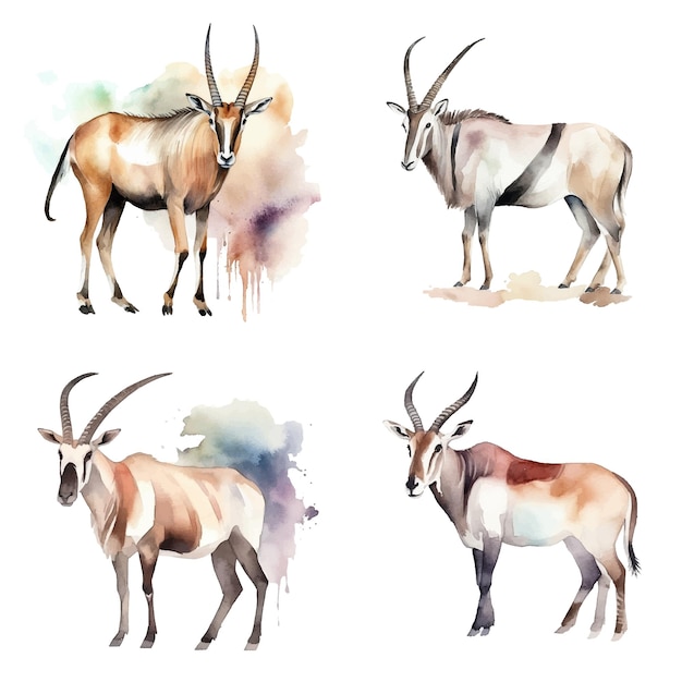 Oryx aquarelverf collectie