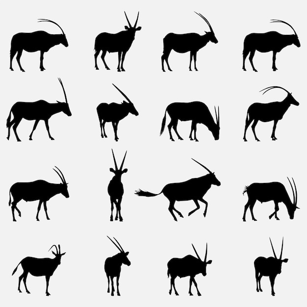 Vector oryx dieren silhouetten sjabloon