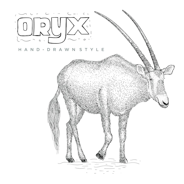 Vector oryx vhand drawn animal illustration