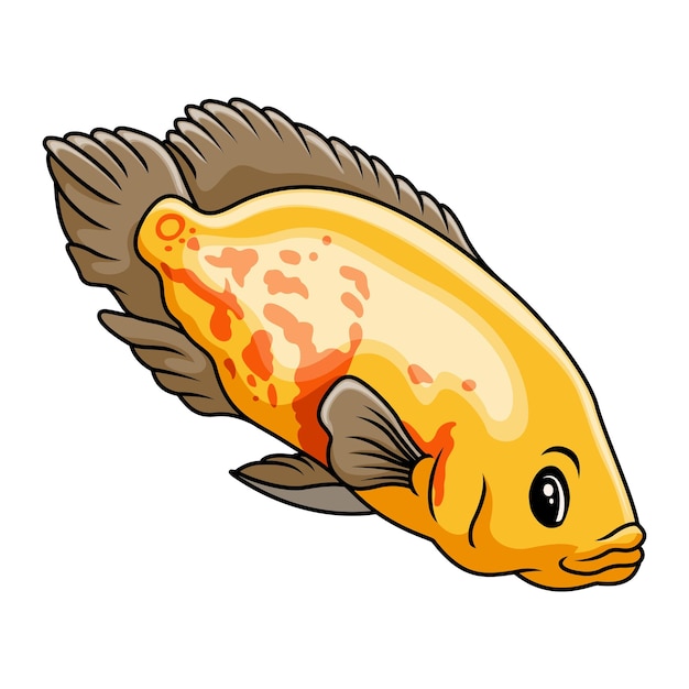 Vector oscar fish cartoon a swimming