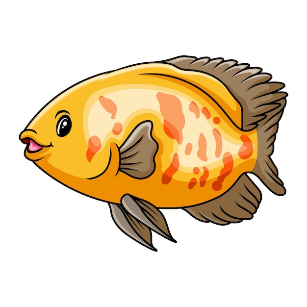 Vector oscar fish cartoon a swimming