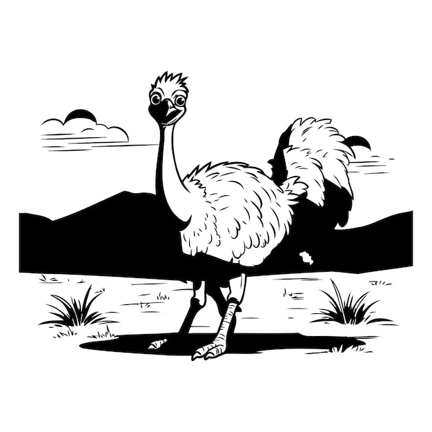 Ostrich black and white vector illustration isolated on white background
