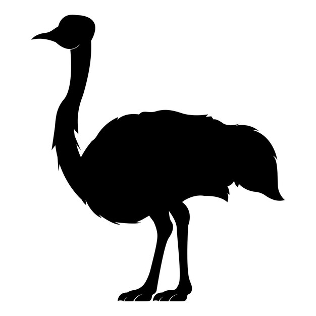 Ostrich icon vector illustration simple design