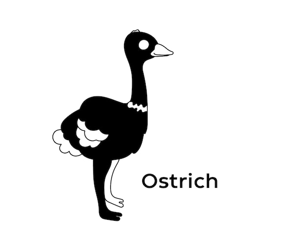 Ostrich isolated vector Silhouettes