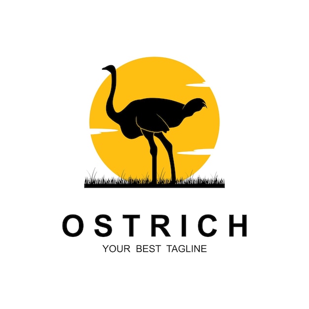 Дизайн векторного шаблона логотипа страуса
