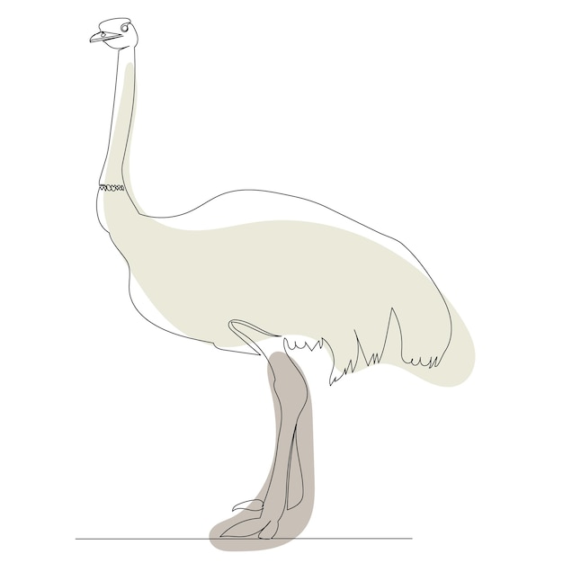 Ostrich one line drawing isolated vector