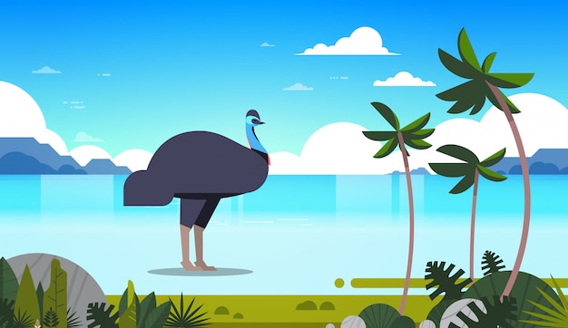 Вектор Страус или эму на море побережье дикая природа фауна концепция австралийское дикое животное тропический остров с пальмами морской пейзаж горизонтальный