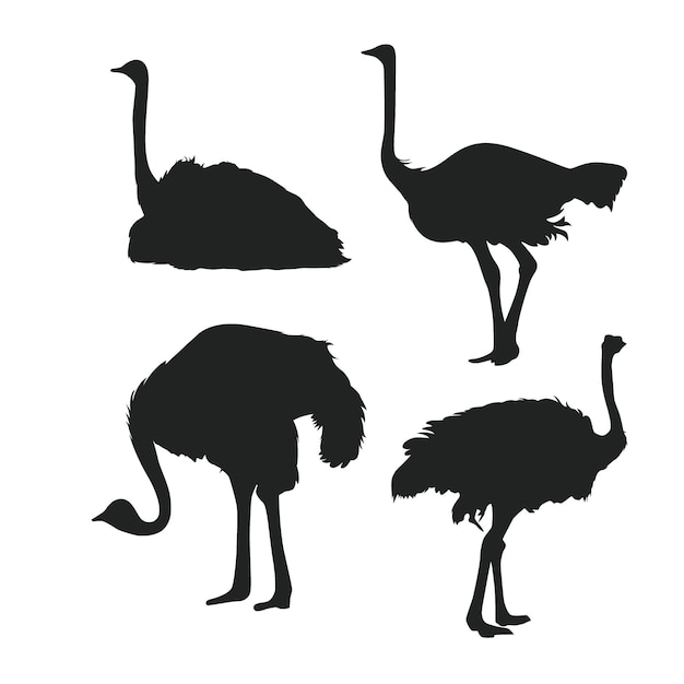 Vector ostrich silhouette set