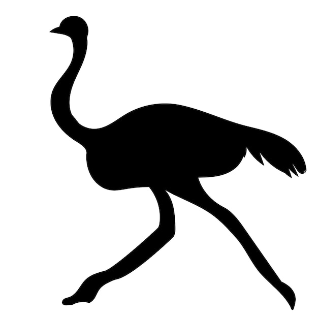 Ostrich silhouette, on white background, vector, isolated