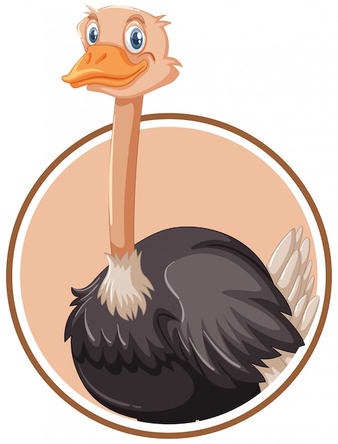 A ostrich sticker template