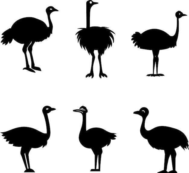 Ostrich vecor silouette illustration 2