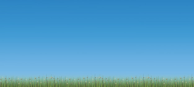 Vector outdoor background of green field with blue sky background.