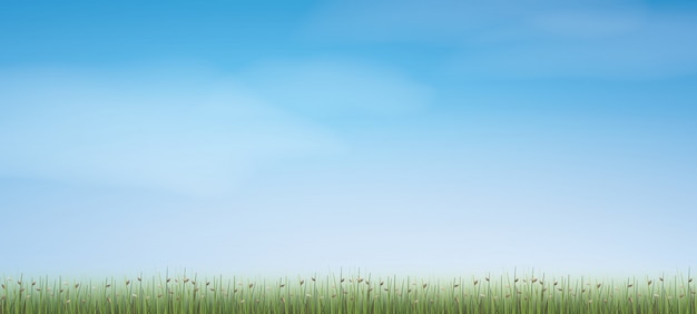 Vector outdoor background of green field with blue sky.