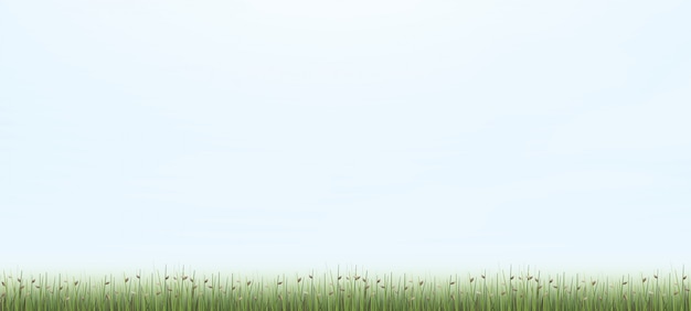 Outdoor background of green field.