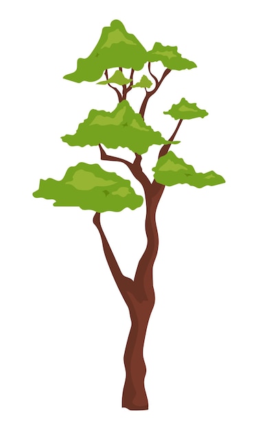 Outdoor bonsai plant semi flat color vector object