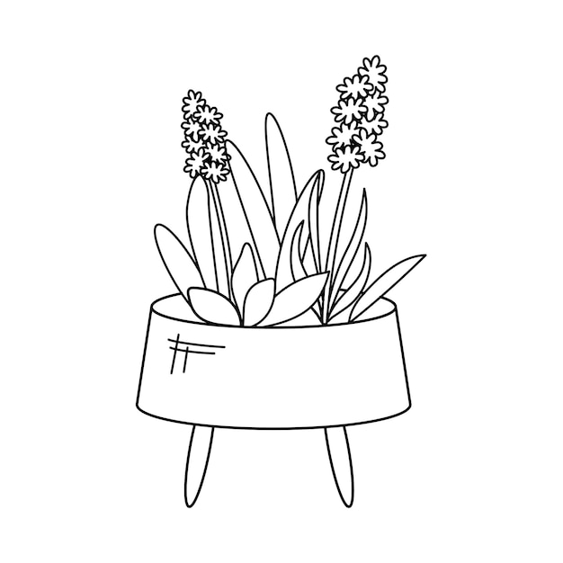 Vector outdoor pot with hyacinth flowers in outline style isolated on white background