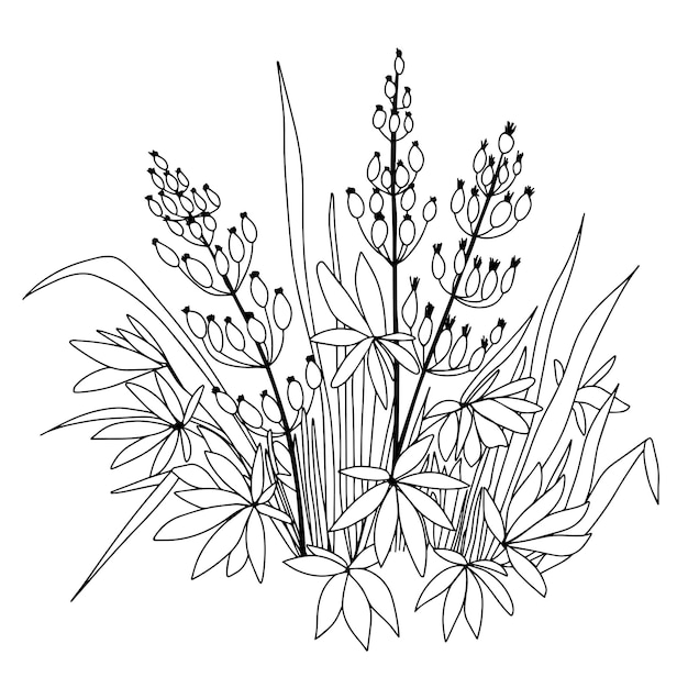 Vector outline abstract flowers. doodle hand drawn botanic vector illustration.